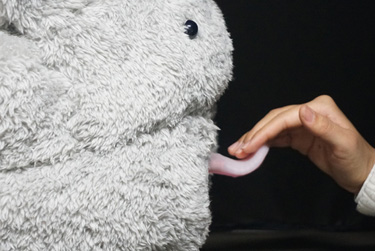 Licker: A Tongue Robot for Representing Realistic Tongue Motions